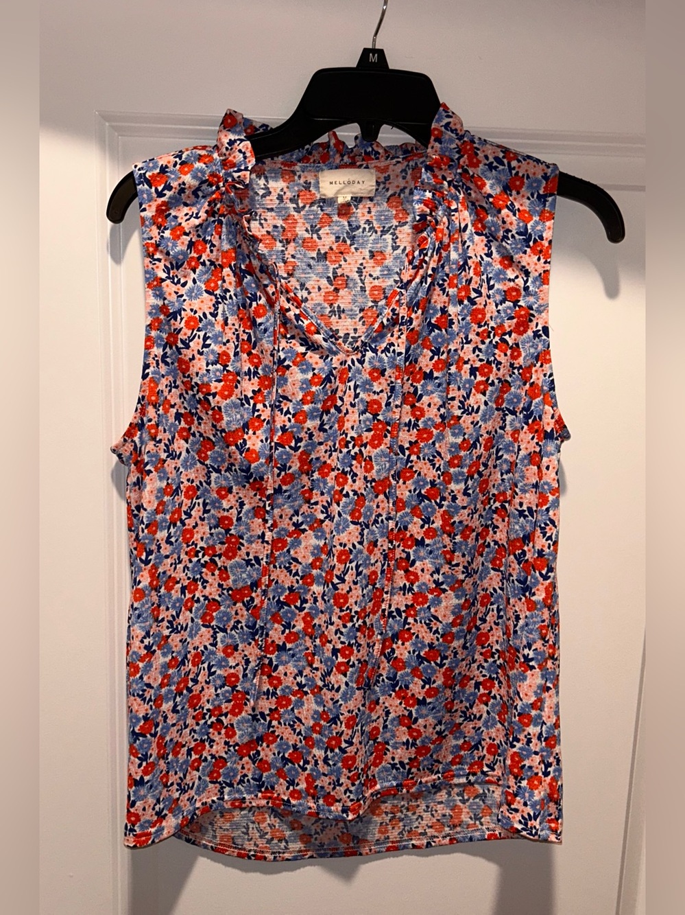 MELLODAY Sleeveless Floral Tie-Neck Camisole - Red & Blue